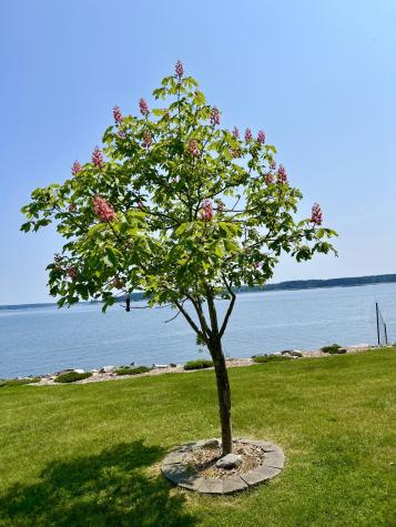 463 Seawall Road Southwest Harbor ME 04679