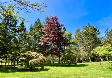 463 Seawall Road Southwest Harbor ME 04679