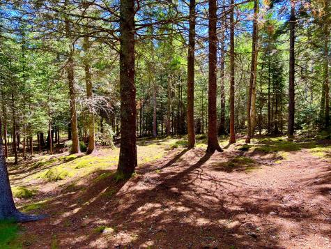 463 Seawall Road Southwest Harbor ME 04679