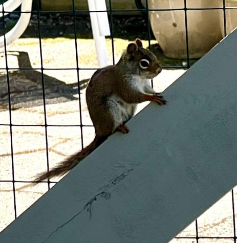 463 Seawall Road Southwest Harbor ME 04679