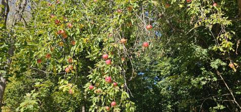 28.5 Elm Street Fairfield ME 04937