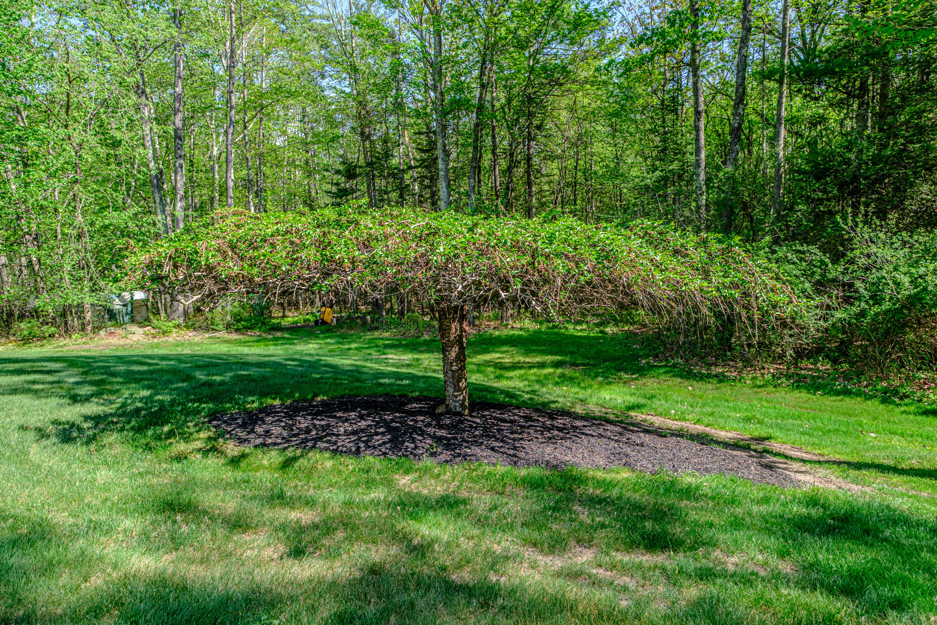 18 Herrick Road Gorham ME 04038