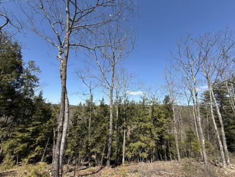 66 Carroll's Pit Road Newfield ME 04095