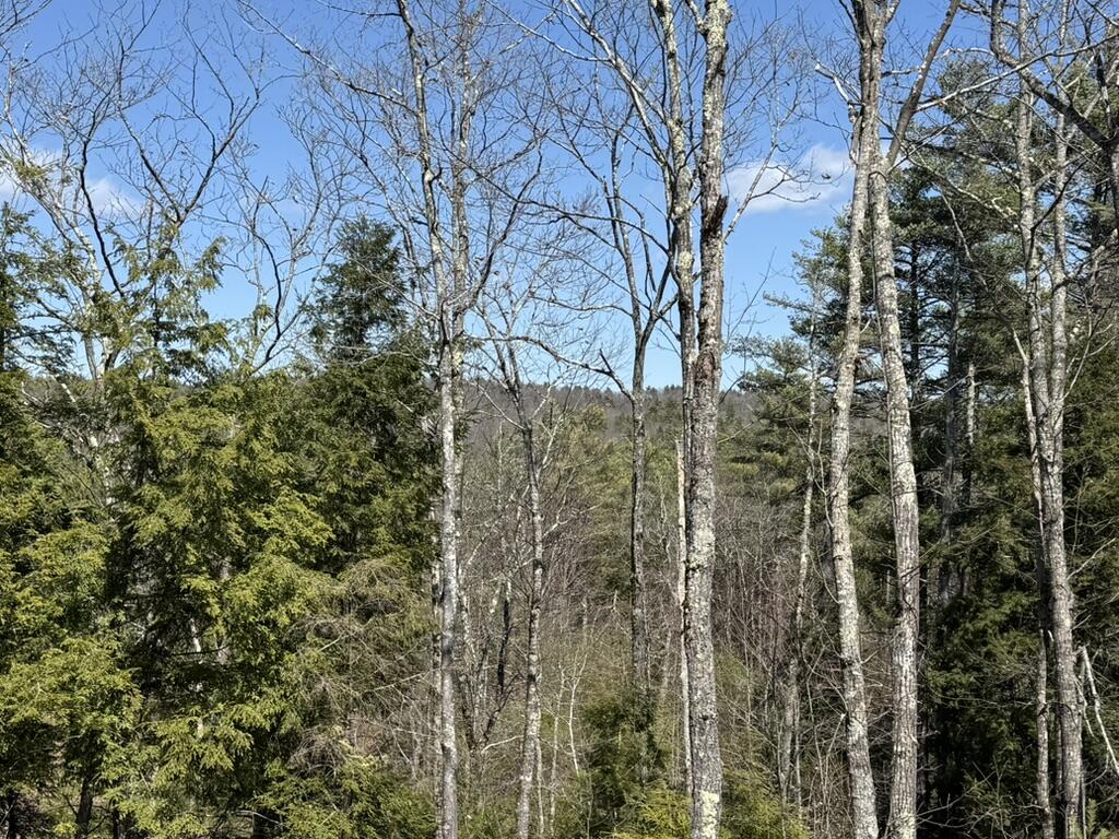 66 Carroll's Pit Road Newfield ME 04095