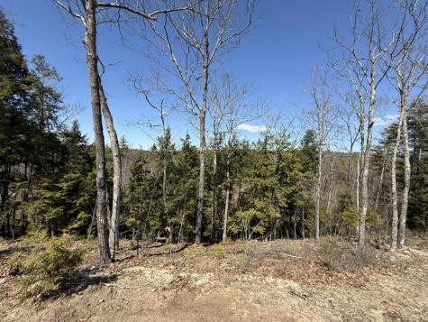 66 Carroll's Pit Road Newfield ME 04095