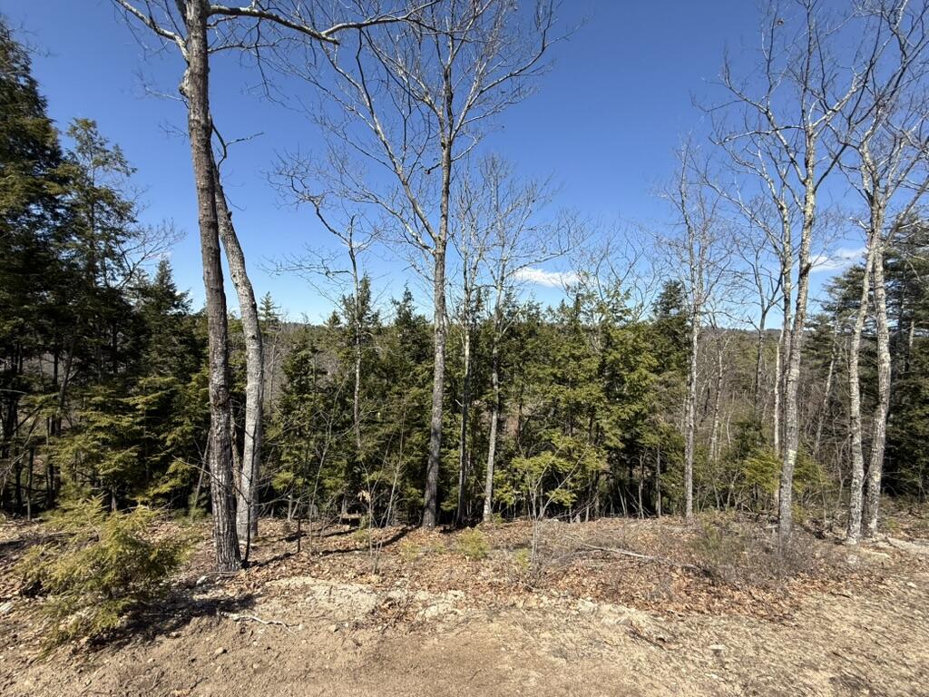 66 Carroll's Pit Road Newfield ME 04095