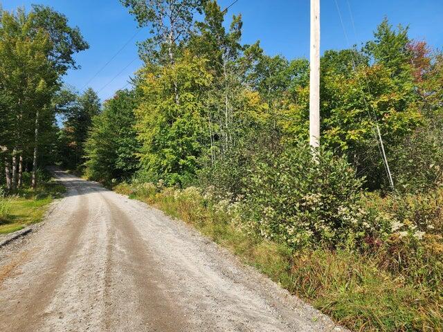 45 Stearns Avenue Albany Twp ME 04217