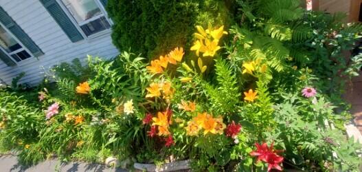 15 Dane Street Kennebunk ME 04043