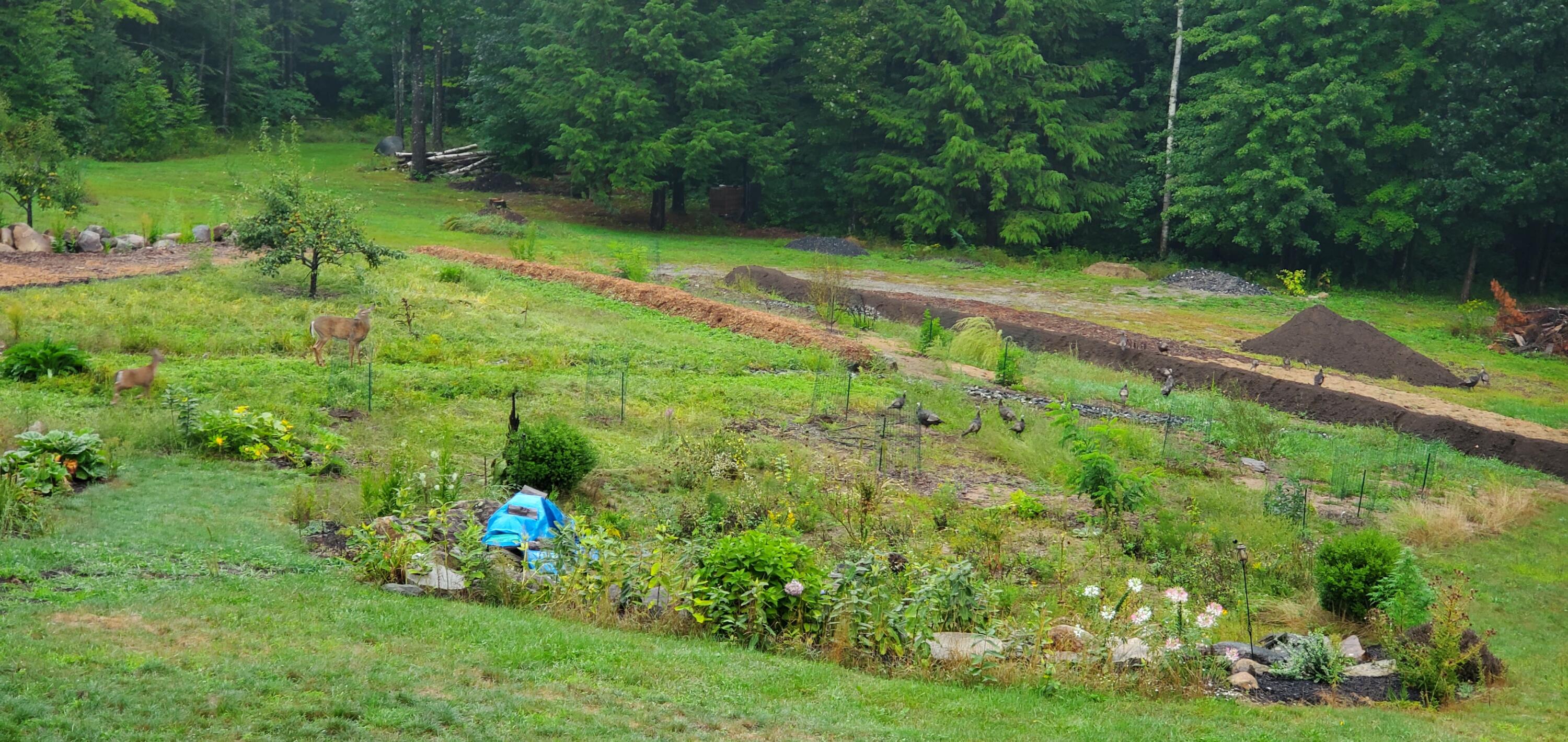 67 Carpenter Hill Road Alfred ME 04002