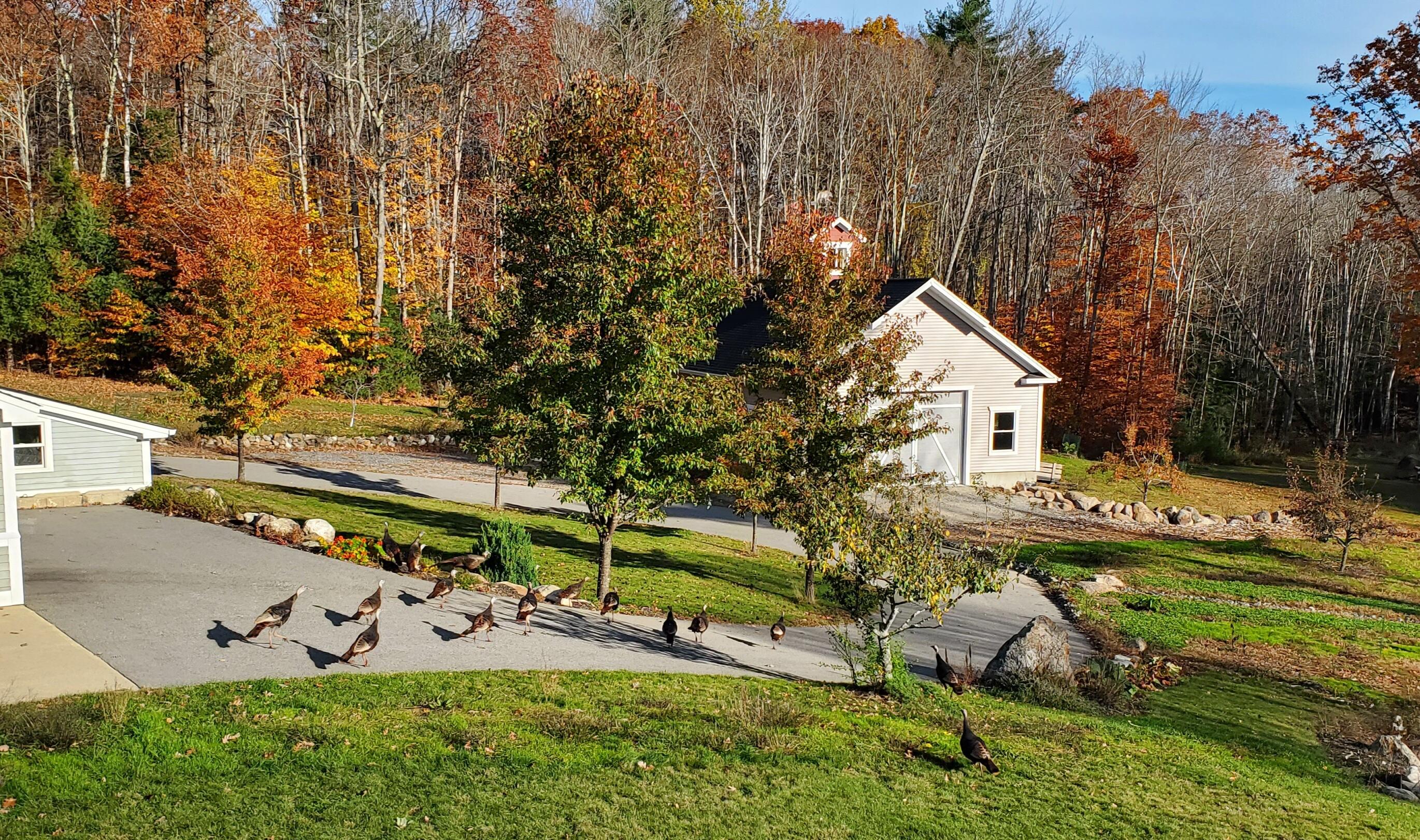 67 Carpenter Hill Road Alfred ME 04002