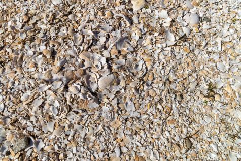 33 Barney Cove Road Beals ME 04611