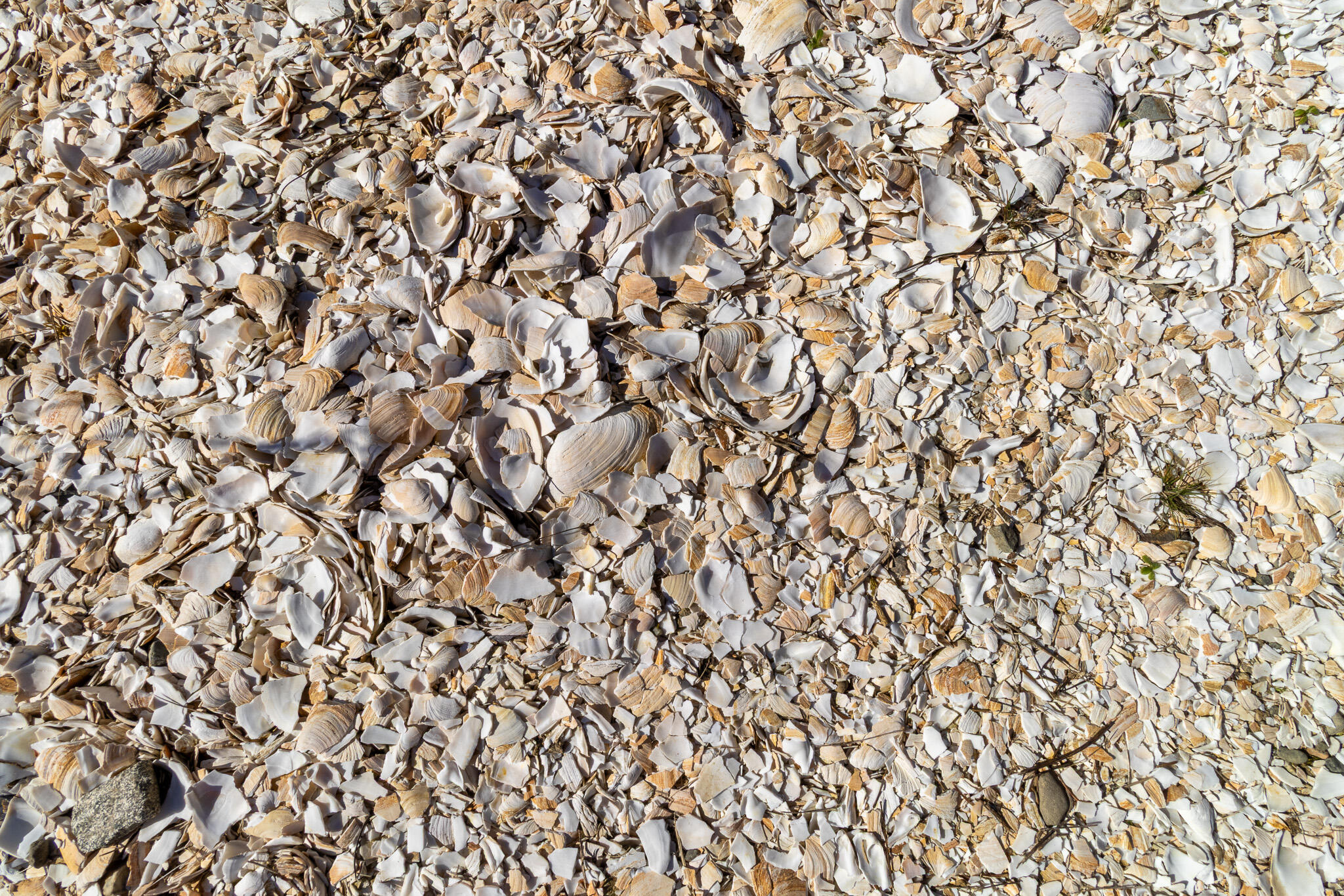 33 Barney Cove Road Beals ME 04611