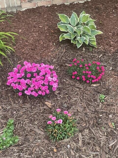 72 Nottingham Way Brewer ME 04412