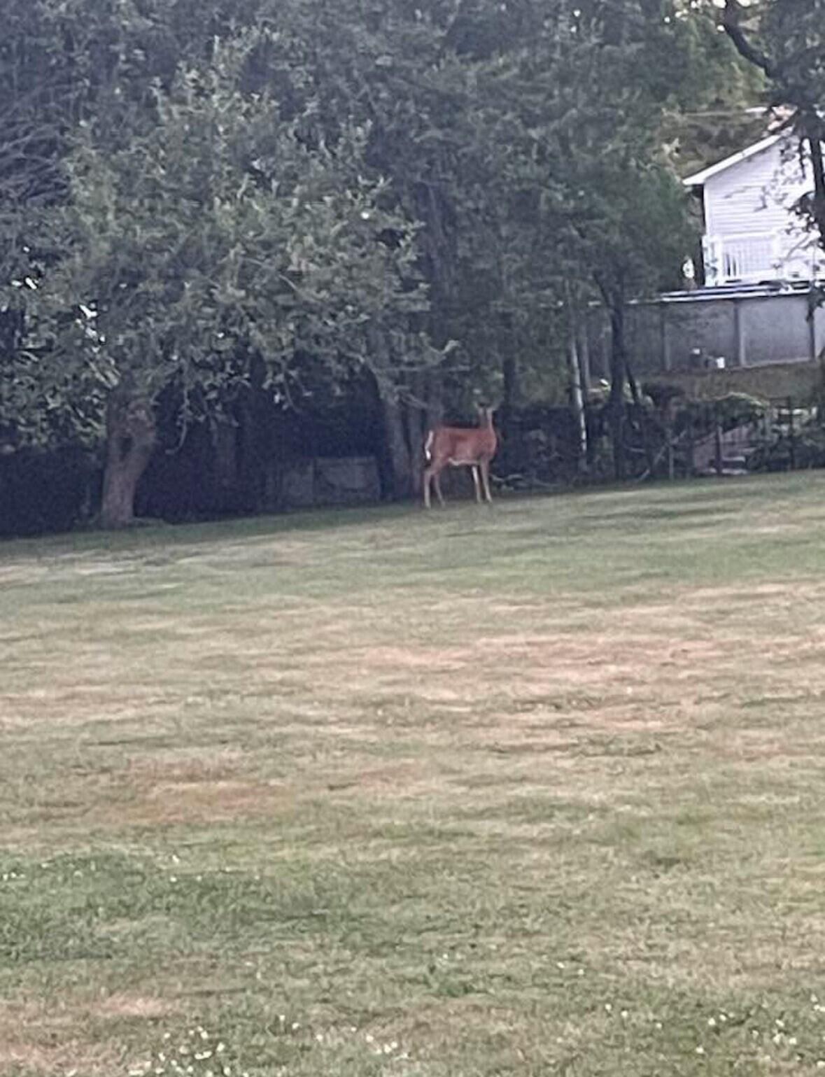 72 Nottingham Way Brewer ME 04412