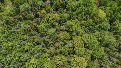 195 Surry Road Ellsworth ME 04605