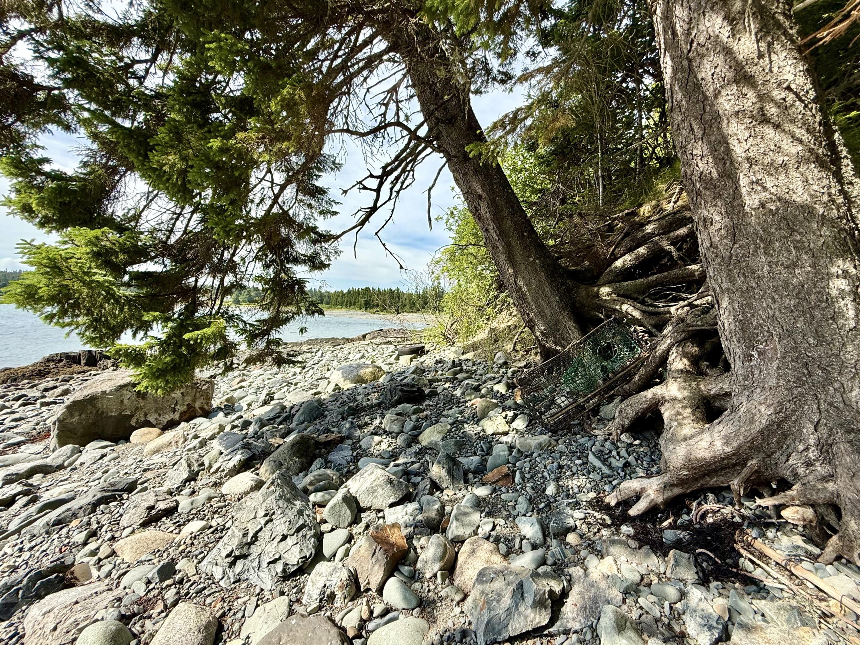 69 Jims Head Road Lubec ME 04652