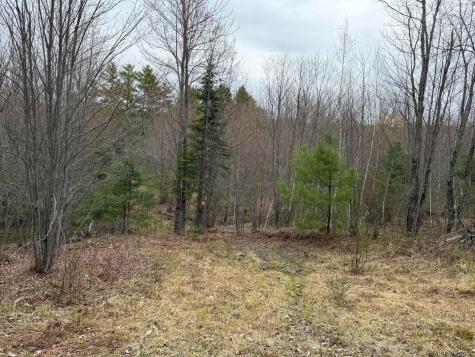 64 Coburn Road Carthage ME 04224