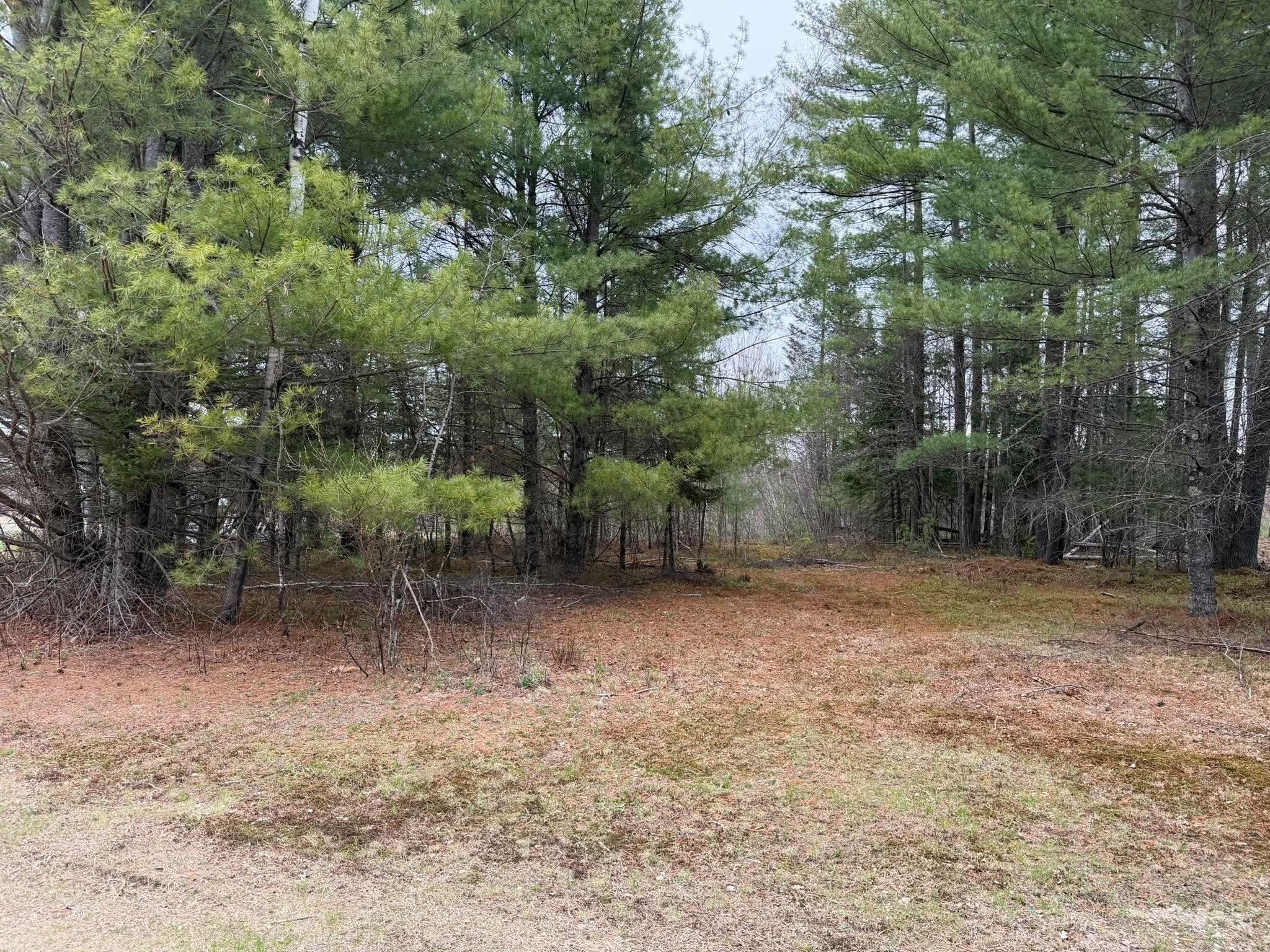 64 Coburn Road Carthage ME 04224