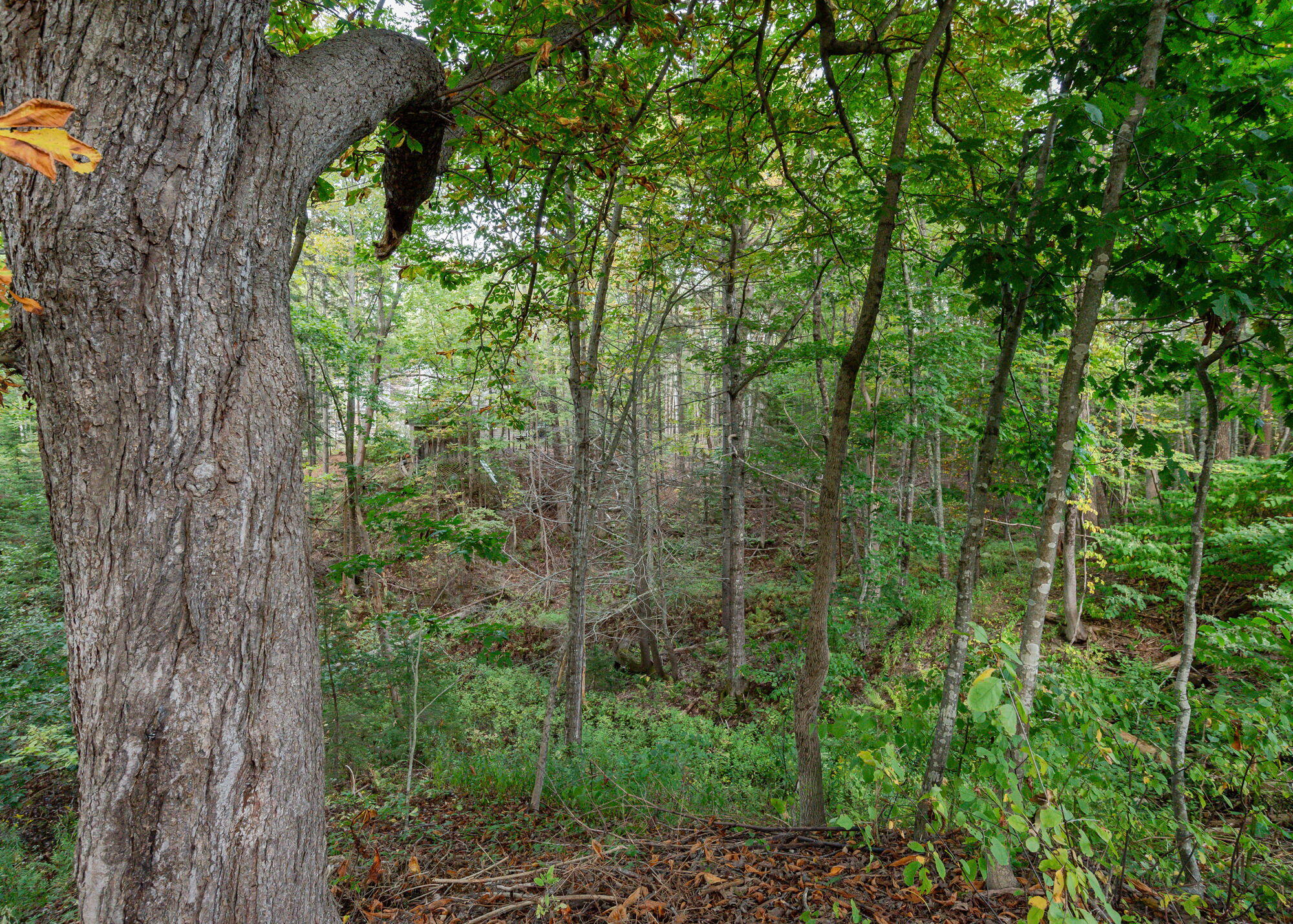 420 Princes Point Road Yarmouth ME 04096