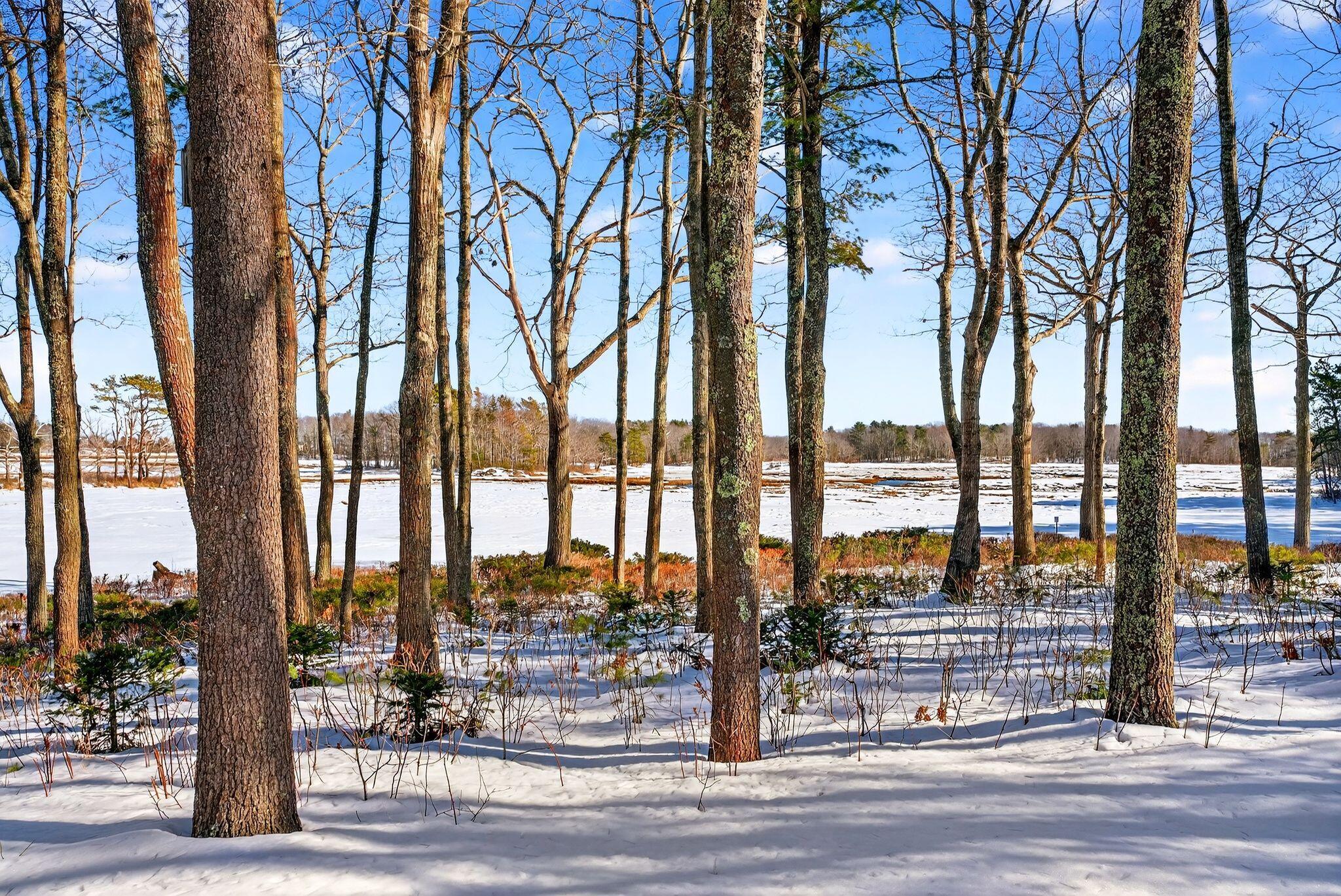 23 Goosefair Kennebunkport ME 04046