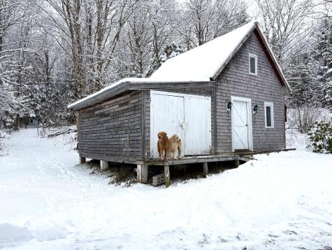 252 Ox Cove Road Pembroke ME 04666