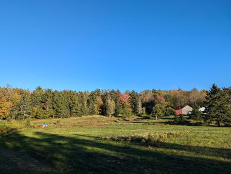 252 Ox Cove Road Pembroke ME 04666