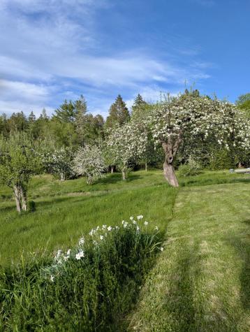 252 Ox Cove Road Pembroke ME 04666