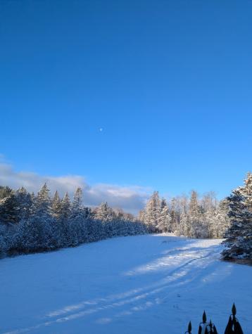 252 Ox Cove Road Pembroke ME 04666