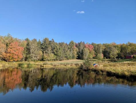 252 Ox Cove Road Pembroke ME 04666