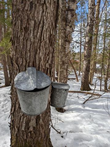 252 Ox Cove Road Pembroke ME 04666