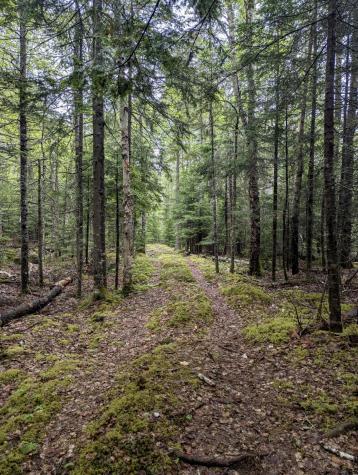 252 Ox Cove Road Pembroke ME 04666