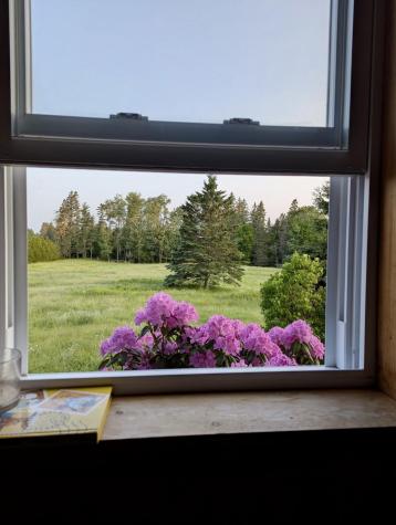 252 Ox Cove Road Pembroke ME 04666