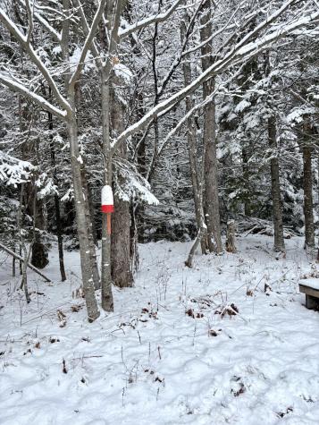 252 Ox Cove Road Pembroke ME 04666