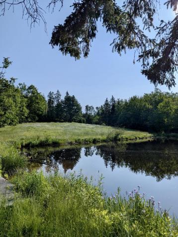 252 Ox Cove Road Pembroke ME 04666