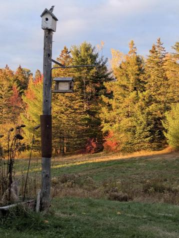 252 Ox Cove Road Pembroke ME 04666