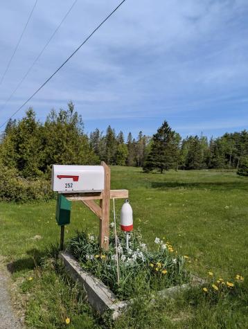 252 Ox Cove Road Pembroke ME 04666