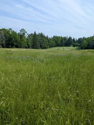 252 Ox Cove Road Pembroke ME 04666