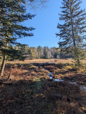 252 Ox Cove Road Pembroke ME 04666