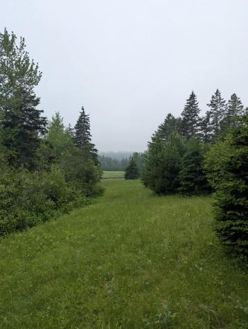 252 Ox Cove Road Pembroke ME 04666