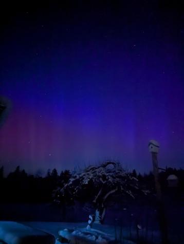 252 Ox Cove Road Pembroke ME 04666