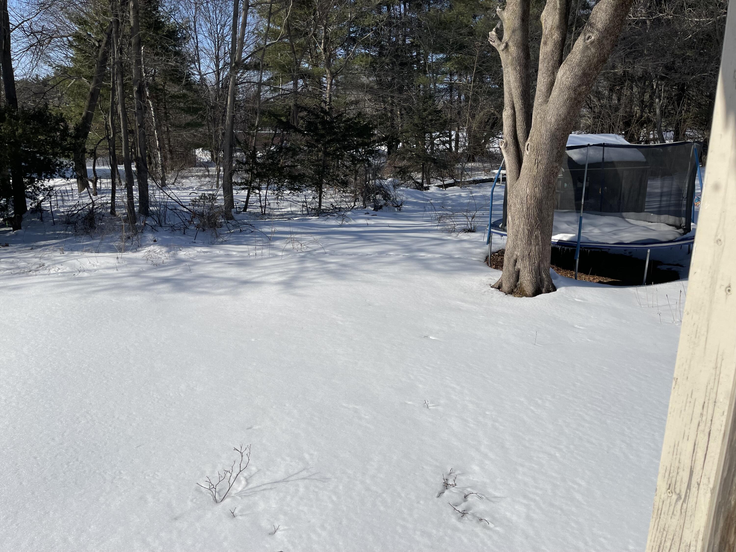 49 Belfort Street Portland ME 04103