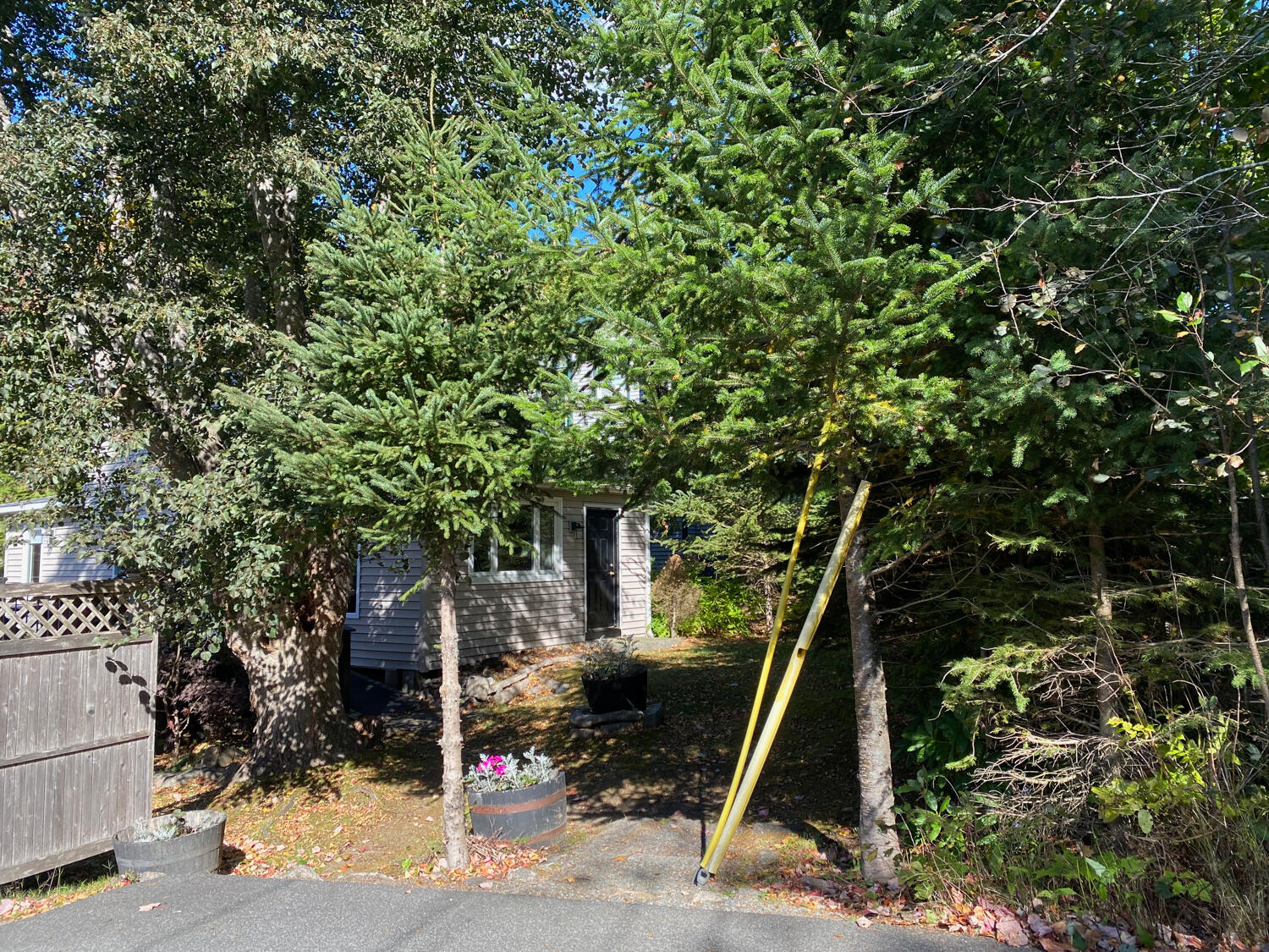 8 Wildwood-seal Harbor Road Mount Desert ME 04675