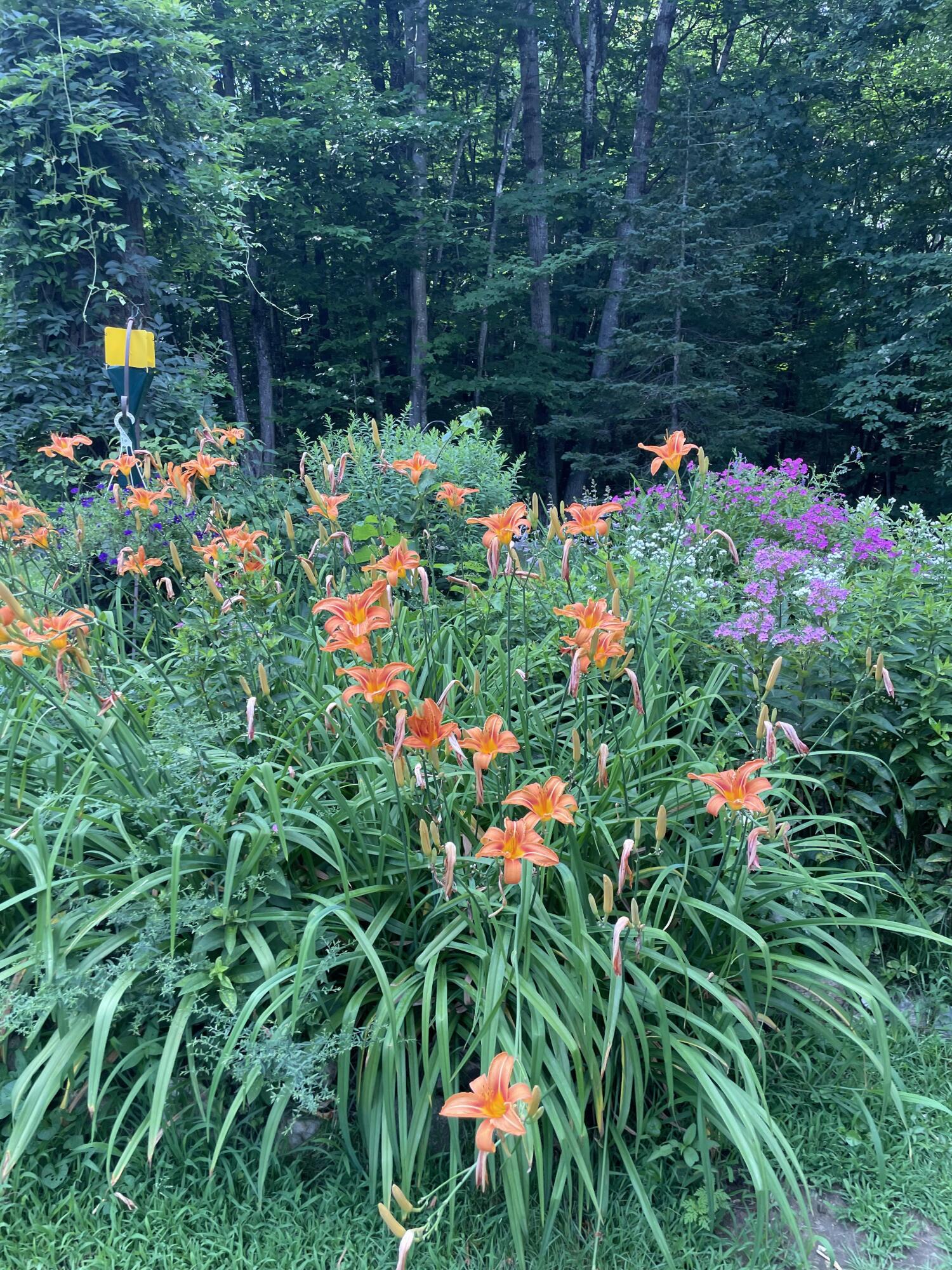 236 Us Route 2 E Wilton ME 04294