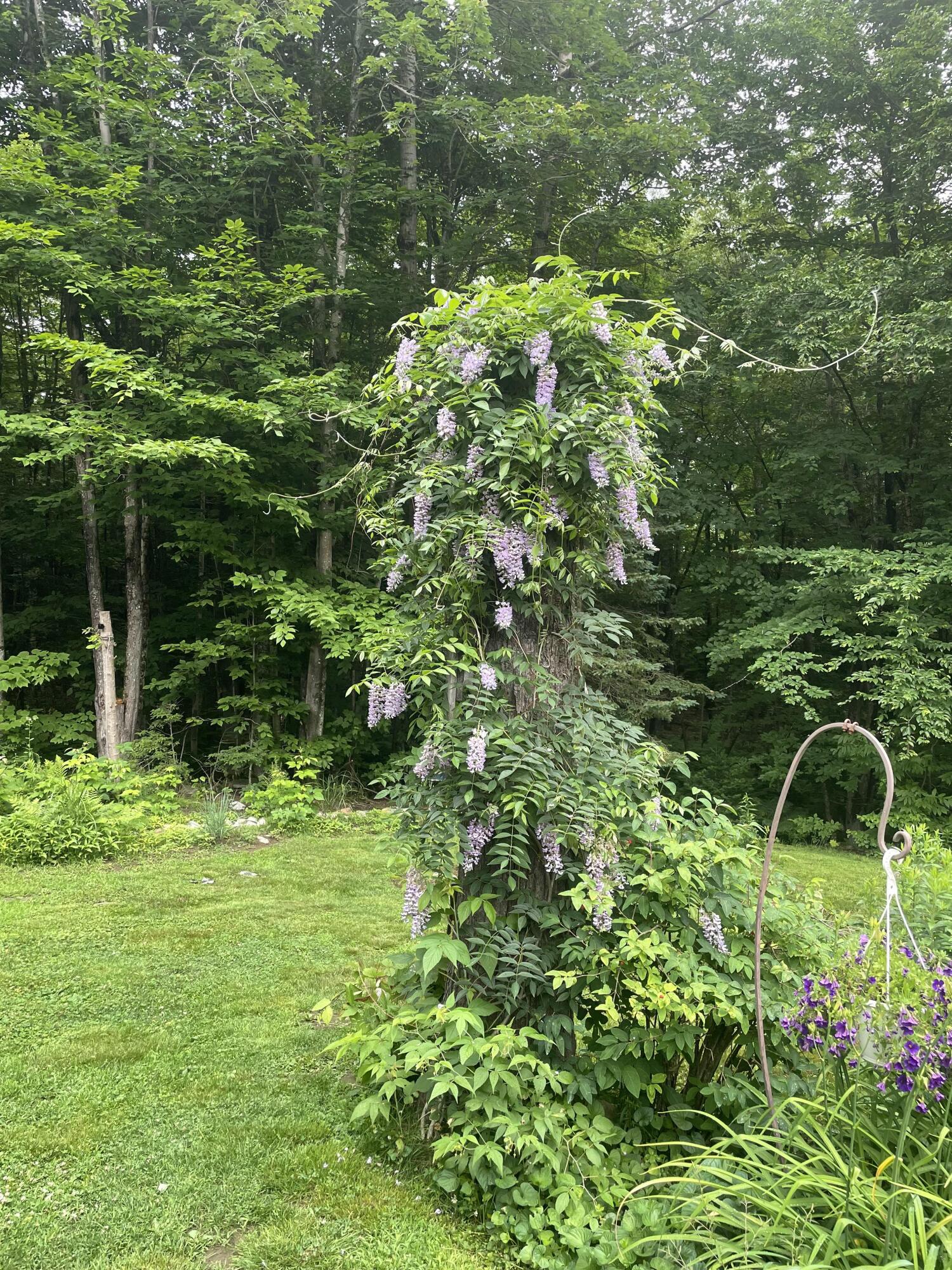 236 Us Route 2 E Wilton ME 04294