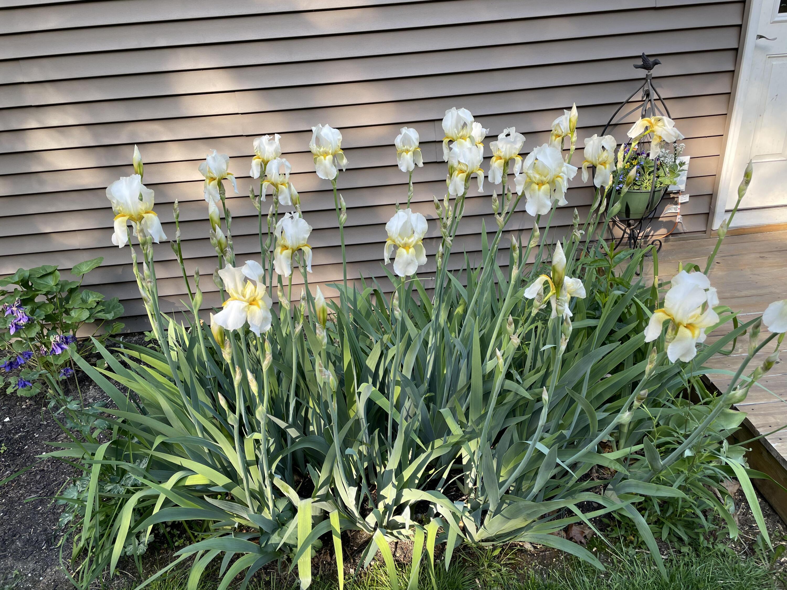 236 Us Route 2 E Wilton ME 04294