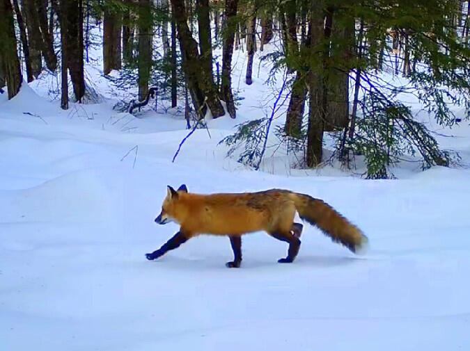 236 Us Route 2 E Wilton ME 04294