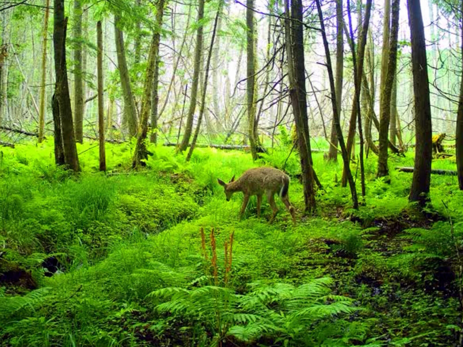 236 Us Route 2 E Wilton ME 04294