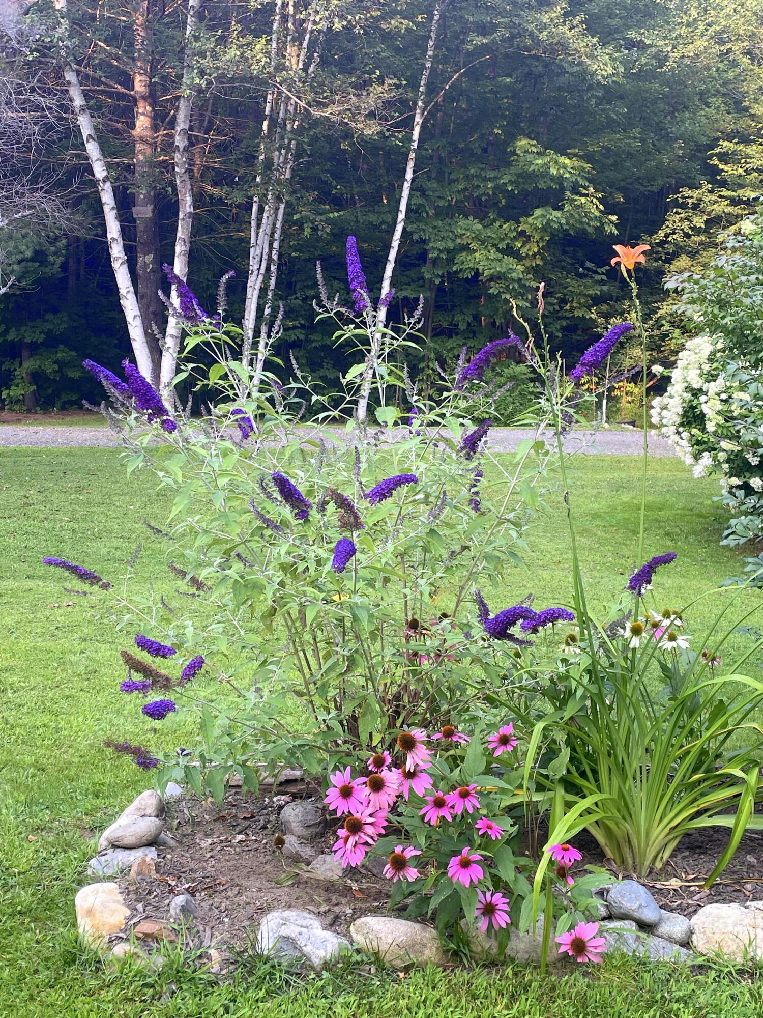 236 Us Route 2 E Wilton ME 04294