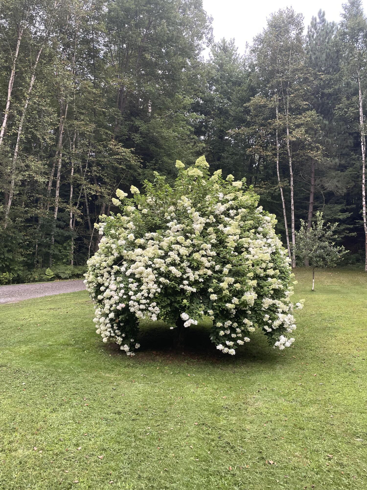 236 Us Route 2 E Wilton ME 04294