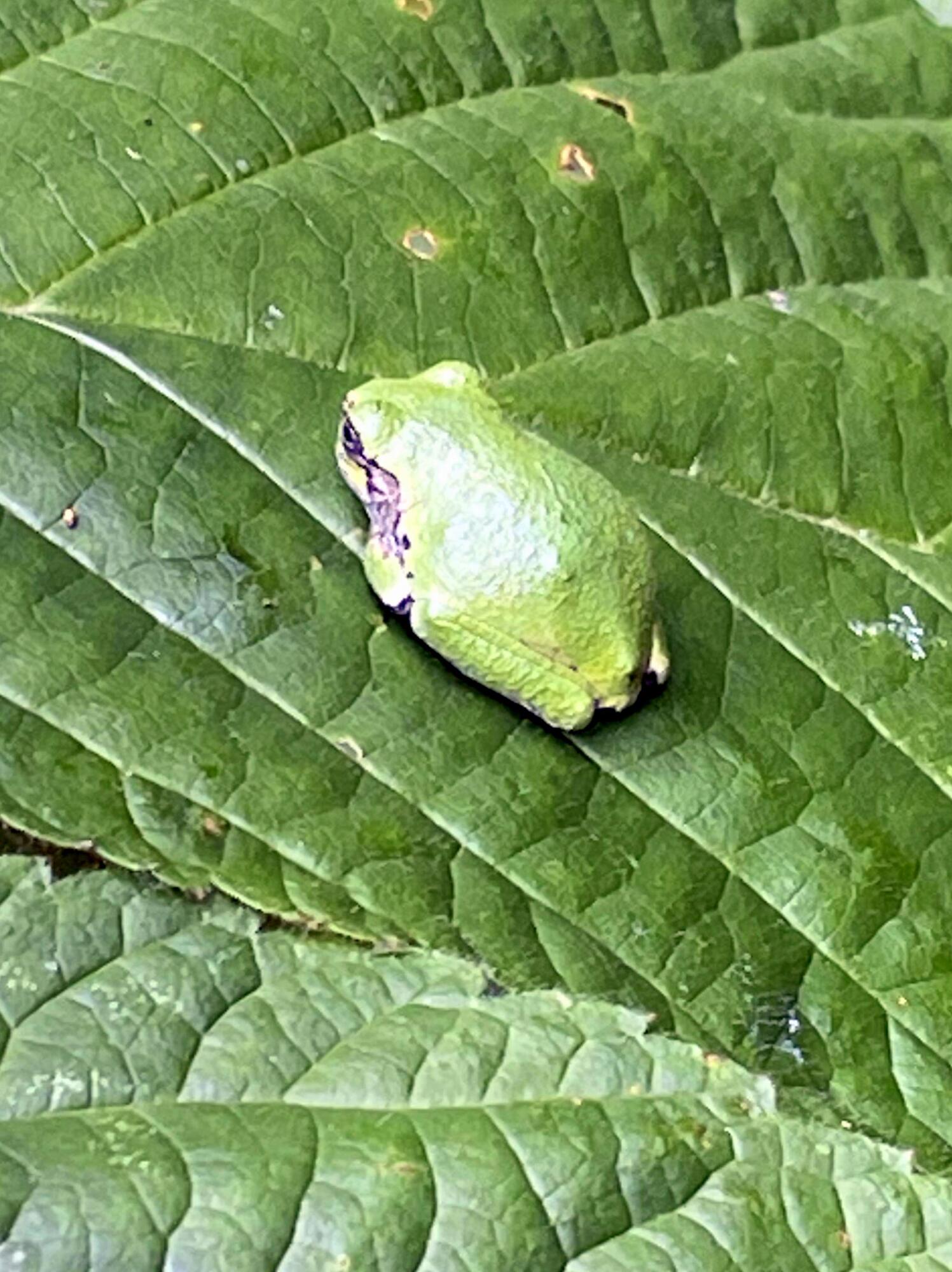 236 Us Route 2 E Wilton ME 04294